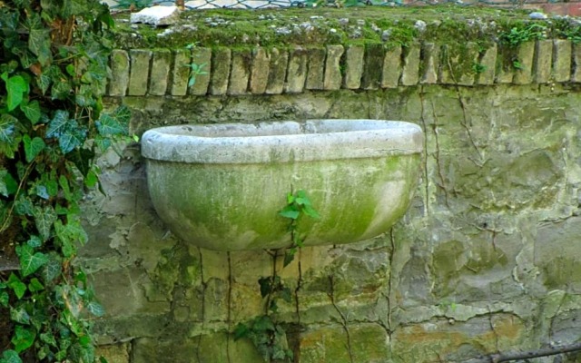 Le Ortensie di Via Rossetti