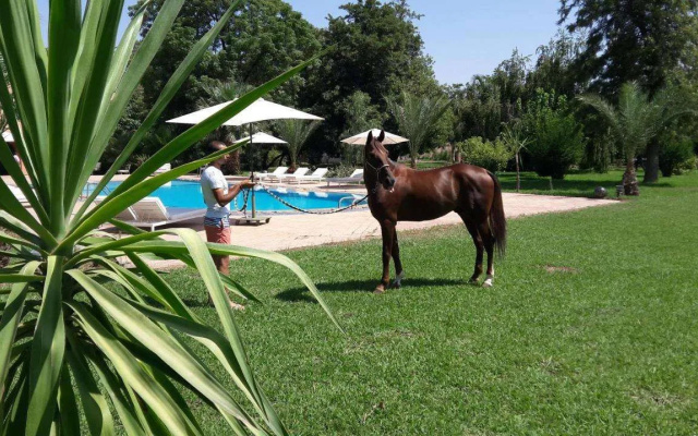 La Vie en Rose - Maison des chevaux