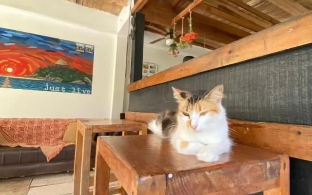 Hotel Casa Kai