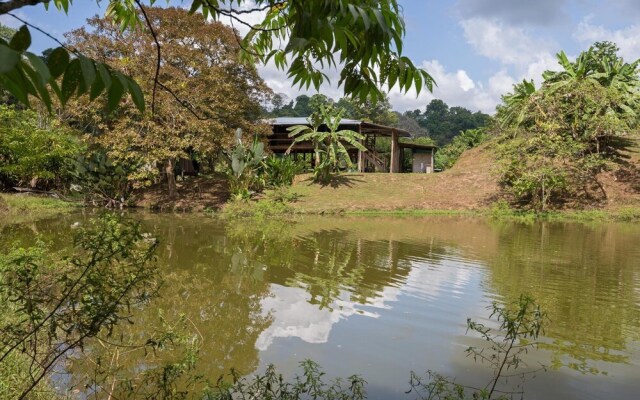 Albergue La Laguna Corcovado Park