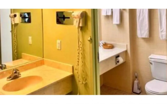 Lively Inn & Suites
