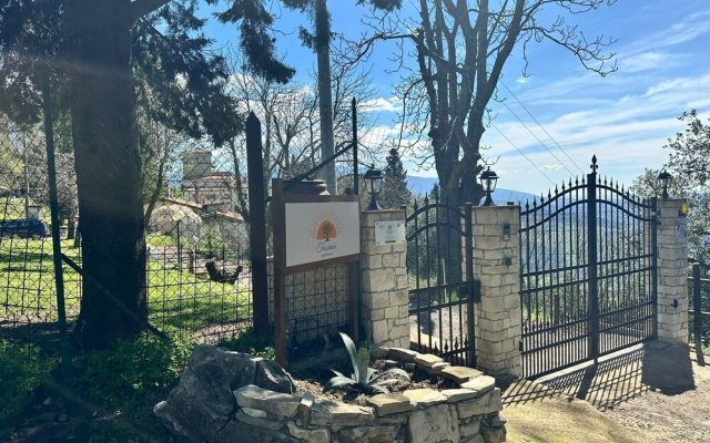 Agriturismo Tassinaia