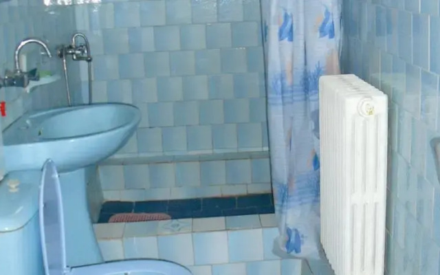 Hostel Vointa