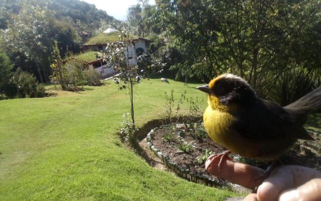 Jardín Colibrí