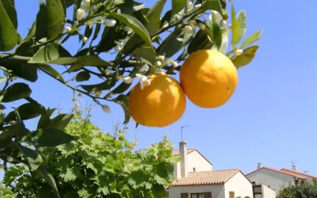 Large Holiday Home Torreilles with 15 metre Pool