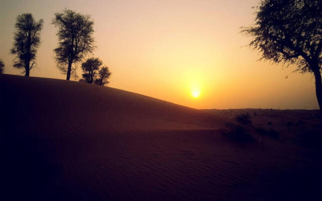 Bedouin Oasis Camp