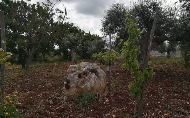 Il Cassetto dei Sogni