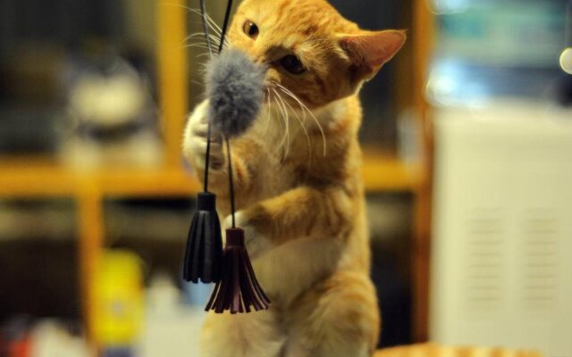 Sai'erde Youth Hostel