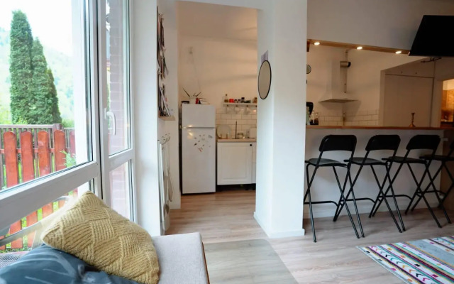 Bubbles studio Sinaia with terrace