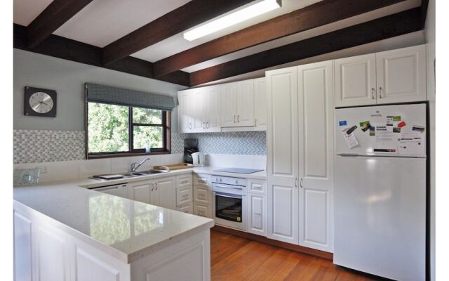 Surf Plazu - PET Friendly