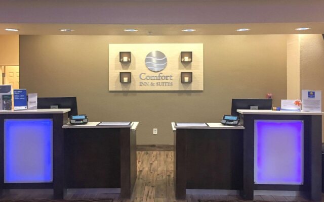 Comfort Inn and Suites Near Six Flags and Medical Center