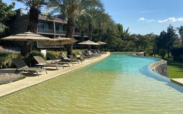 Huayacán Cuernavaca Curamoria Collection