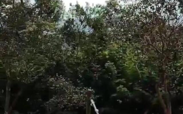 Pousada Canto da Lua -  Macacos