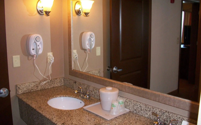 Holiday Inn Birmingham-Homewood
