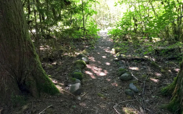 Mt. Baker Lodging Cabin 17 (Sleeps 8)