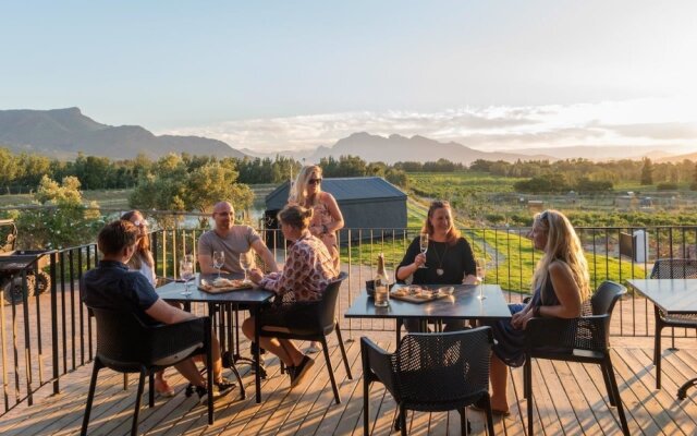 Ashia Cheetah Experience