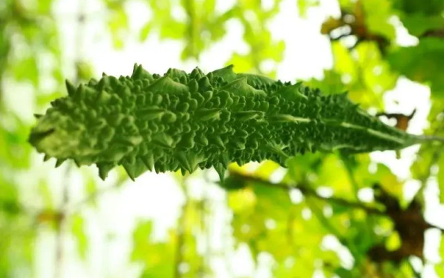 Aiswarya Spices And Dreamland