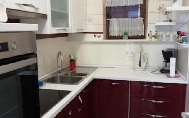 Apartment Branko