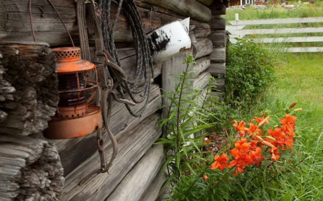 Tod Mountain Guest Cabins