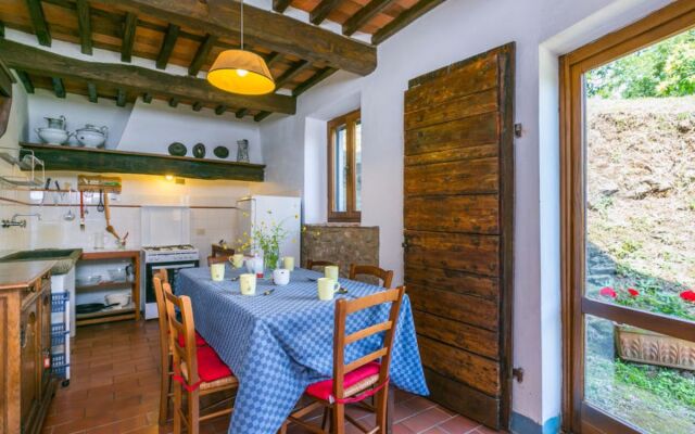 Podere Cima a Zano / Apt.Alfiero PCA108