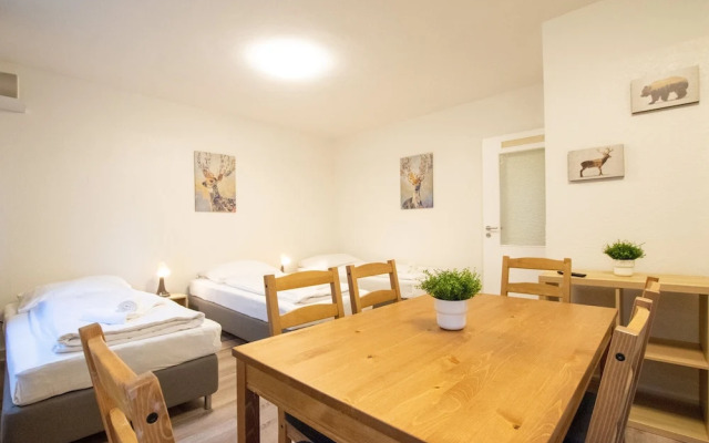 Comfortable Large Center Apartment