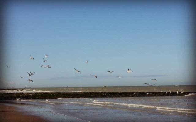 Residentie Delta - Aan zee
