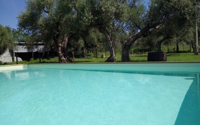 La Collina Degli Ulivi