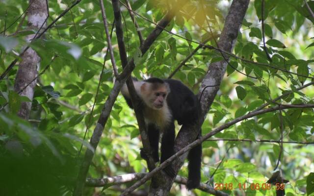 La Ceiba Ecoadventures