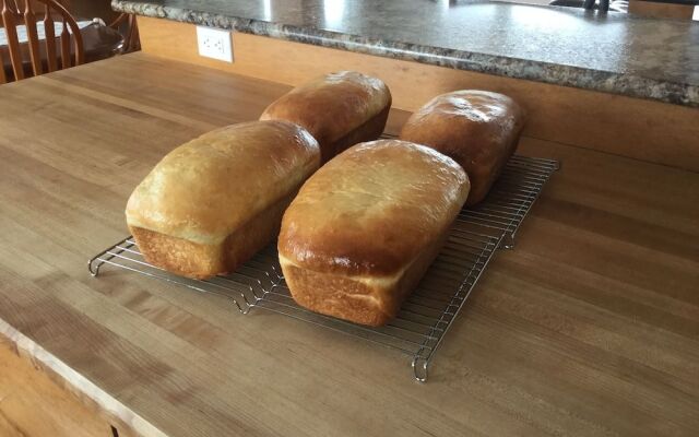 Marcy's Bed & Breakfast