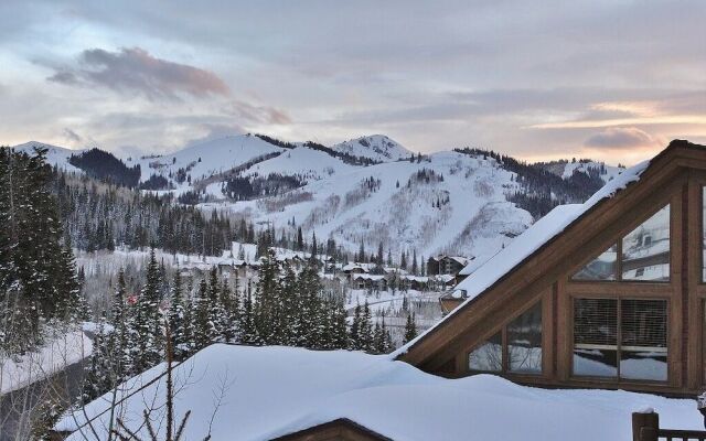 Deer Valley Black Bear 231