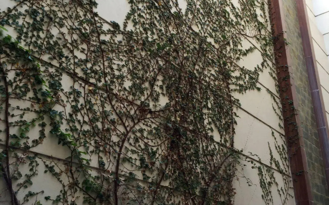 Purobaires Hotel Boutique