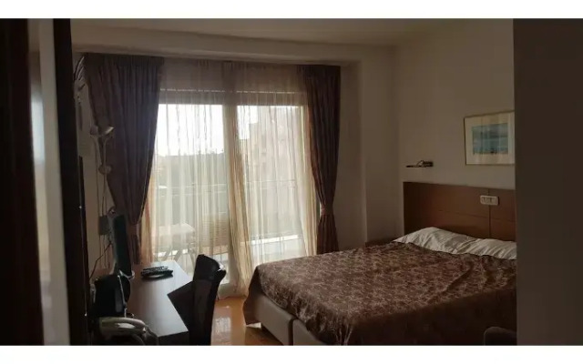 Hotel Paun