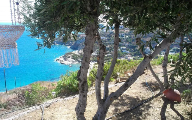 Bellevue Village Apartments Studios