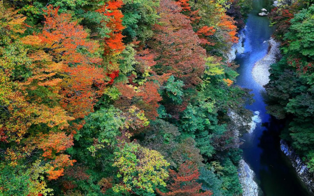 Oyasukyo Onsen Yunoyado Motoyukurabu