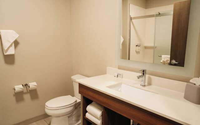 Holiday Inn Express & Suites McCalla - Birmingham West by IHG