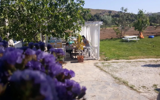 Madam Eleni