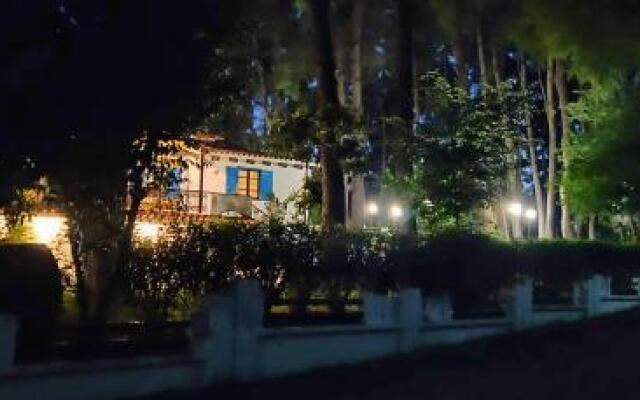 Sani Beach Forest Villa