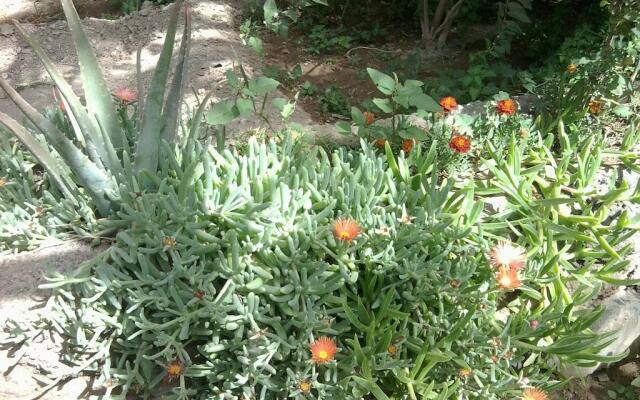 Villa Morabeza Guest House