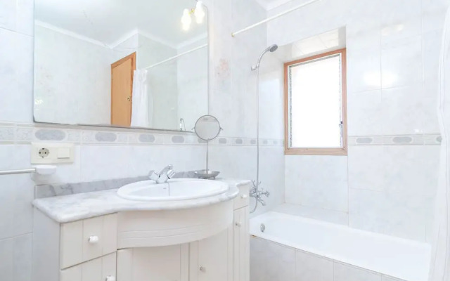 Torre Marina Alga Marina