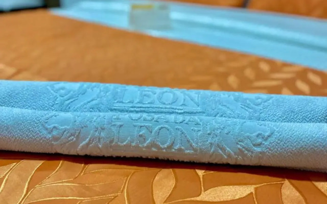 Posada León