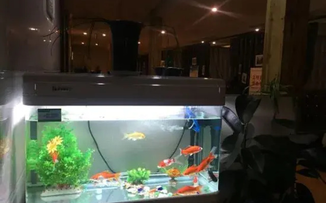 Xinyang Blue Moon Hotel