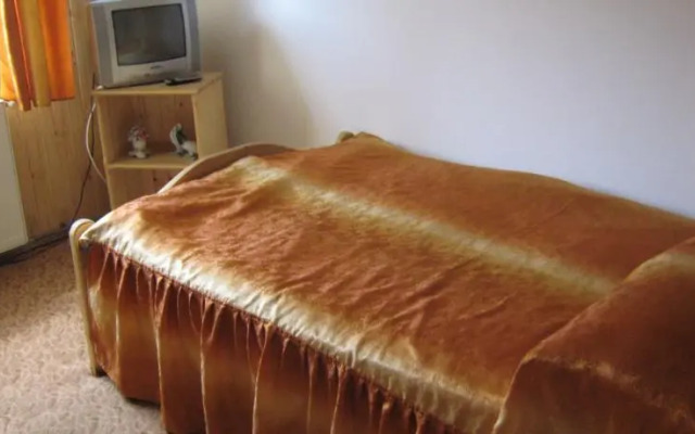 Pension Dor de Bucovina