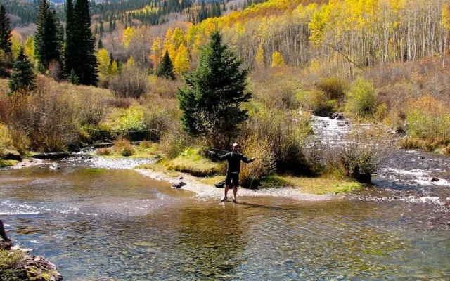 Seasons Four By Snowmass Vacations