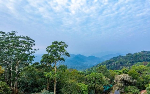 Mist Inn Resort