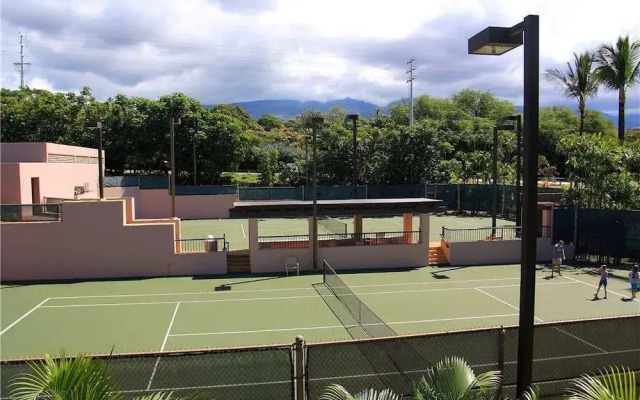Kaanapali Royal B102 by RedAwning