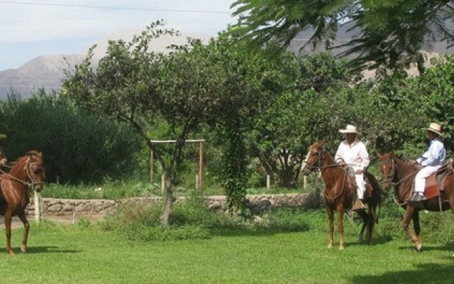 Hotel Fundo San Rafael