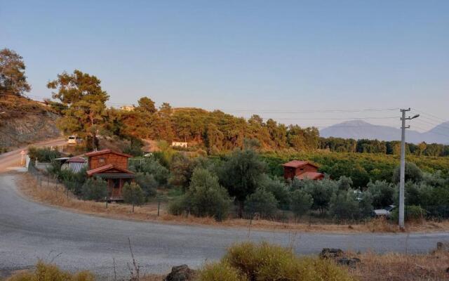 olive garden bungalow