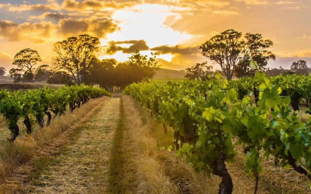 Hutton Vale Farm Jha Stone Cellar