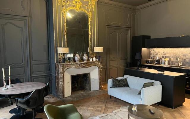 Splendide 2 pièces 65m2 Hôtel Particulier XVII ième siècle-Centre Historique Clermont-Ferrand