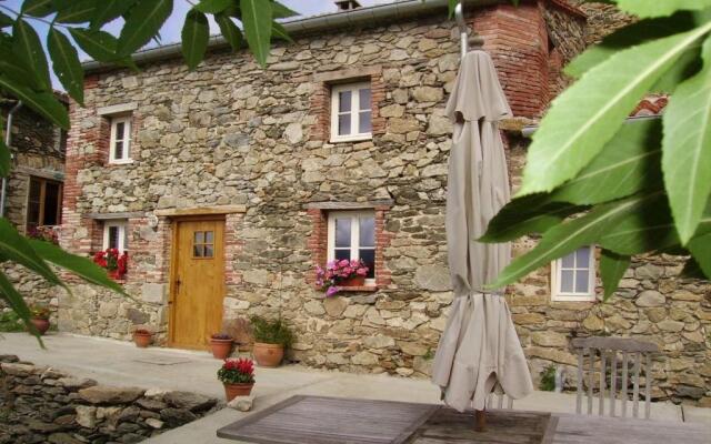 Mas Taillet Le Camelia